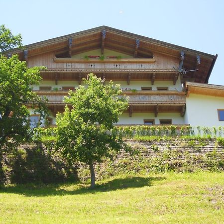 Apartment Kreidl Hippach Rum bild