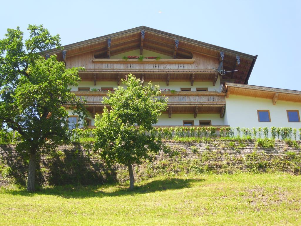 Apartment Kreidl Hippach Rum bild